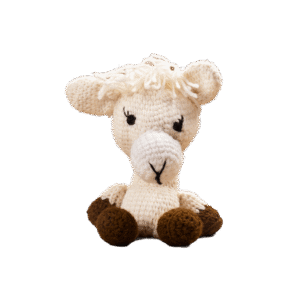 Nirvana Rubber Agility